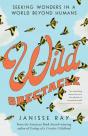Wild Spectacle - Preview