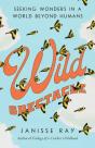 Wild Spectacle - Preview