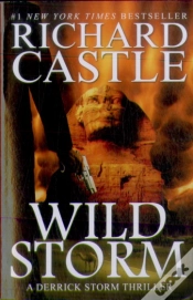 Capa do artigo Wild Storm