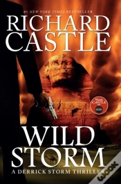 Capa do artigo Wild Storm