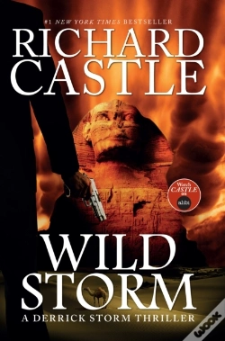 Capa do artigo Wild Storm