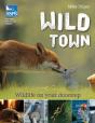 Wild Town - Preview