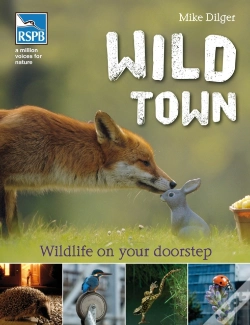 Capa do artigo Wild Town