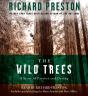 Wild Trees - Preview