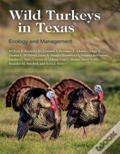 Wild Turkeys In Texas