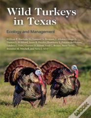 Wild Turkeys In Texas