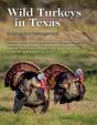Wild Turkeys In Texas - Preview