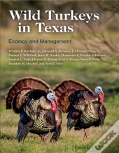 Wild Turkeys In Texas