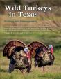 Wild Turkeys In Texas - Preview