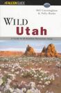 Wild Utah - Preview