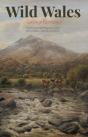 Wild Wales - Preview