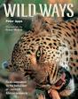 Wild Ways - Preview