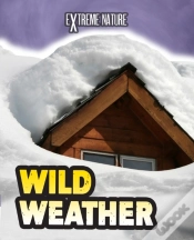 Capa do artigo Wild Weather