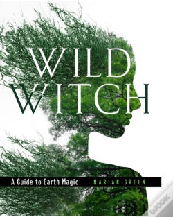 Capa do artigo Wild Witch