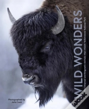Capa do artigo Wild Wonders