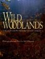 Wild Woodlands - Preview