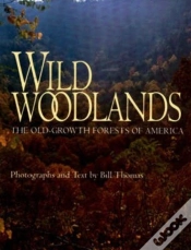 Capa do artigo Wild Woodlands
