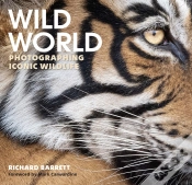 Capa do artigo Wild World