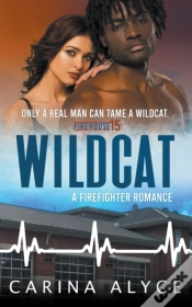 Capa do artigo Wildcat
