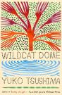 Wildcat Dome - Preview
