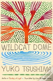 Capa do artigo Wildcat Dome