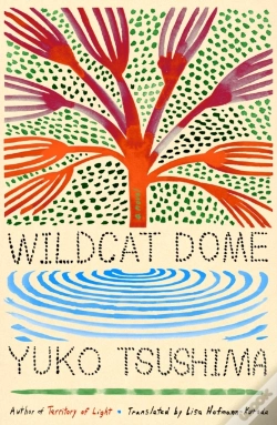 Capa do artigo Wildcat Dome