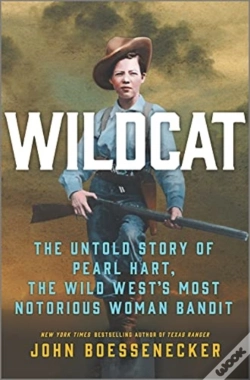 Capa do artigo Wildcat