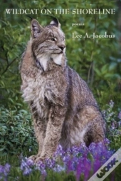 Wildcat On The Shoreline