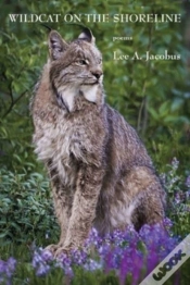 Capa do artigo Wildcat On The Shoreline