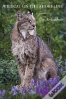 Wildcat On The Shoreline