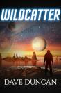Wildcatter - Preview