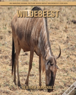 Capa do artigo Wildebeest