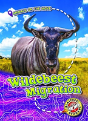 Wildebeest Migration - Preview
