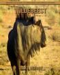 Wildebeest - Preview