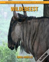 Wildebeest