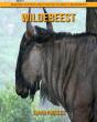 Wildebeest - Preview
