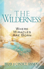 Capa do artigo Wilderness