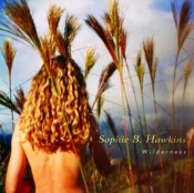 Capa do artigo Wilderness - CD