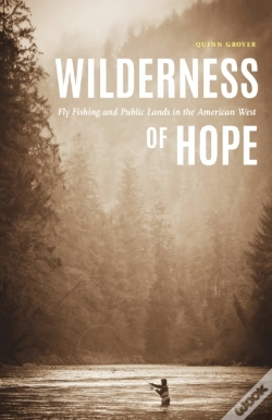 Capa do artigo Wilderness Of Hope