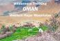 Wilderness Trekking Oman - Map - Preview