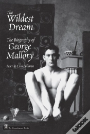 Capa do artigo Wildest Dream