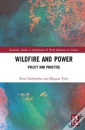 Capa do artigo Wildfire And Power