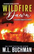 Wildfire At Dawn