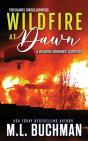 Wildfire At Dawn - Preview
