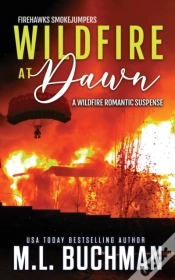 Capa do artigo Wildfire At Dawn
