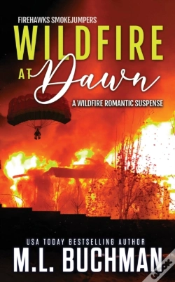 Capa do artigo Wildfire At Dawn