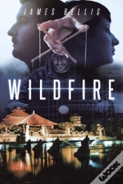 Capa do artigo Wildfire