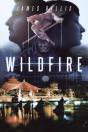 Wildfire - Preview