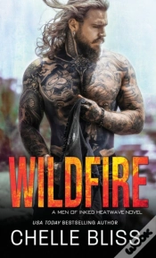 Capa do artigo Wildfire
