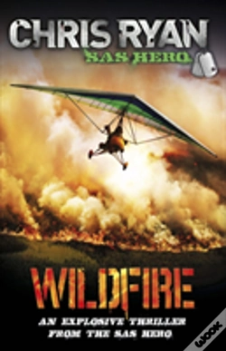 Capa do artigo Wildfire